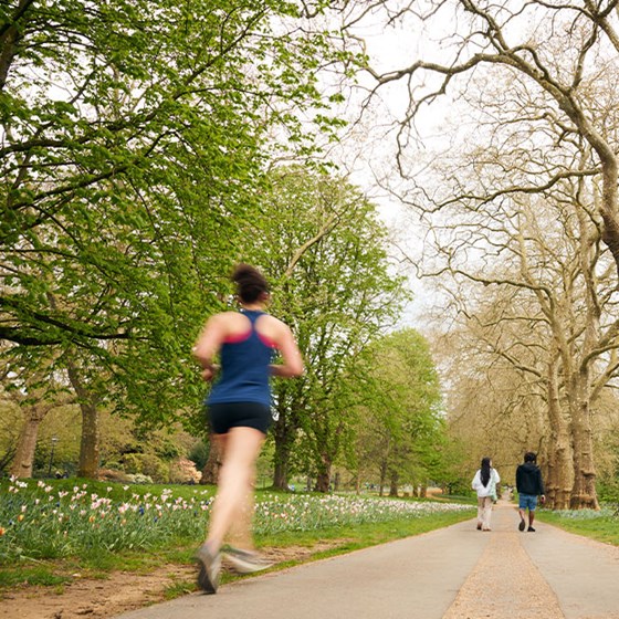 View of path in Hyde Park surrounded by trees and flowers. Runners and passers by can be seen making their way through the park.