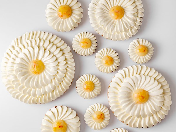 Flat lay image of lots of lemon flowers cakes, some small and some large