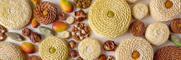 An intricate display of Cedric Grolet's winter pastry collection featuring swirled designs and vibrant colors inspired by fruits, nuts, and chocolate textures.