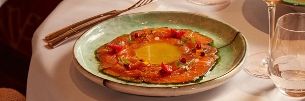 A refined salmon carpaccio dish, artfully arranged with vibrant garnishes, drizzled with a delicate citrus sauce, and served on an artisan ceramic plate, evoking effortless sophistication.